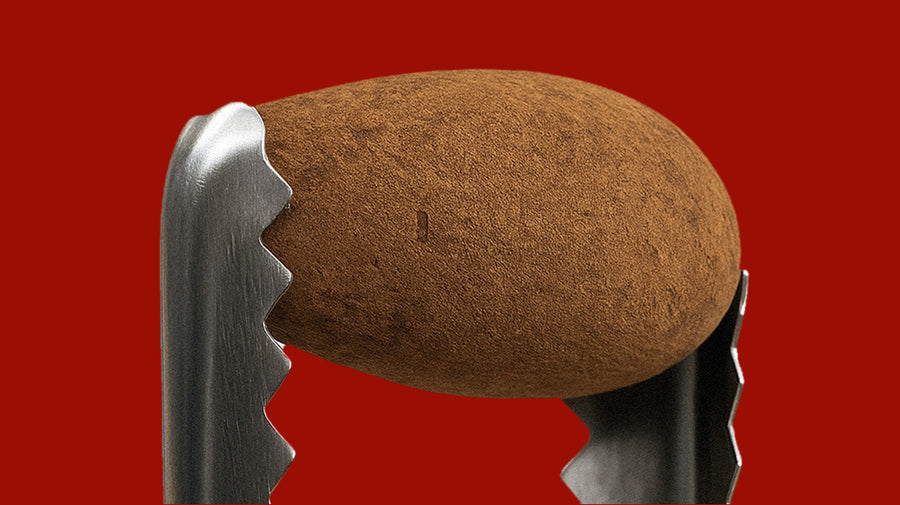 Chocolate Cinnamon Almonds >