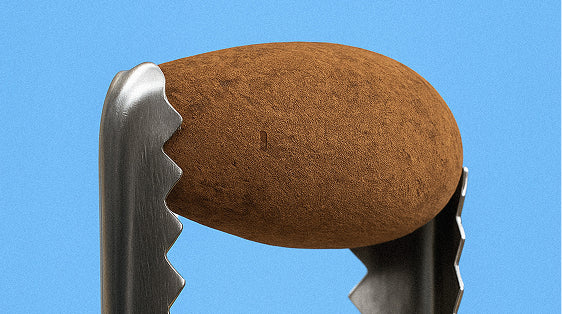 Chocolate Cinnamon Almonds >