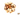 Raw Brazil Nuts