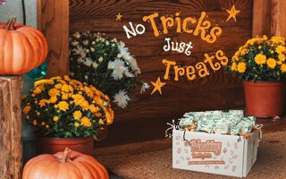 All treats no tricks, with our Trick or Treat Bundles!