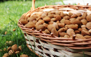 WHY ARE NUTS IN SHELL SO COMMON DURING AUTUMN?