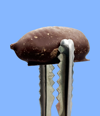 Dark chocolate - Nutty Delights