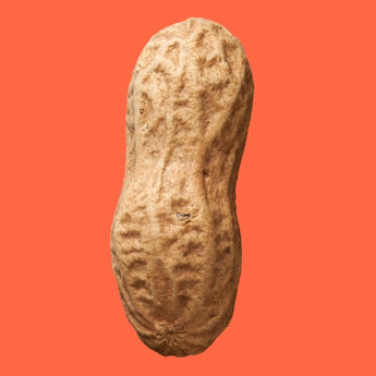 Peanuts - Nutty Delights