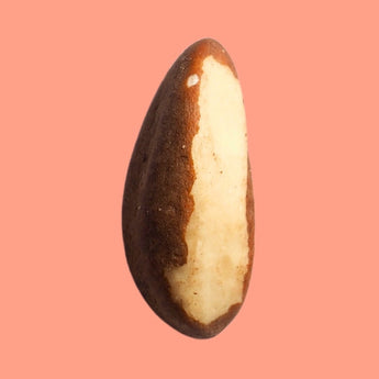 Brazil Nuts - Nutty Delights