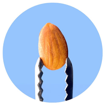 Vegan Nuts - Nutty Delights