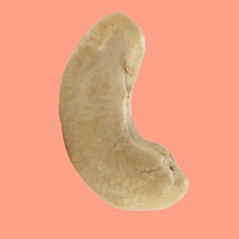 Wholesale Cashew - Nutty Delights