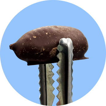 Vegan Chocolate Delights - Nutty Delights