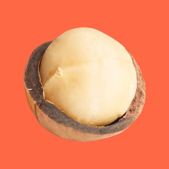 Macadamia Nuts - Nutty Delights