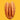 Pecans