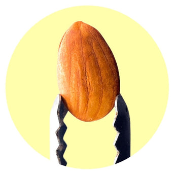 Egg-Free - Nutty Delights