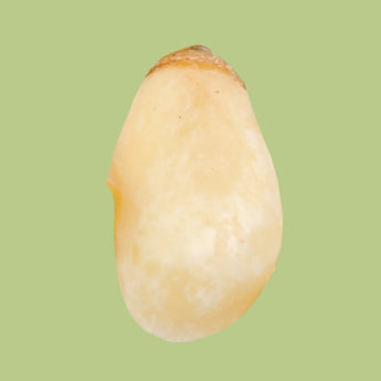 Pine Nuts - Nutty Delights