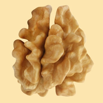 Wholesale Walnuts - Nutty Delights