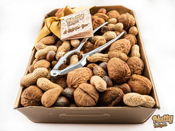 Whole Nuts in Shell Tray & Nutcracker - Nutty Delights