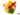 Dried Fruits Exotic Mix - Nutty Delights