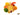 Dried Fruits Exotic Mix - Nutty Delights
