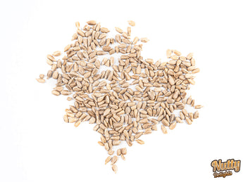 Sunflower Seeds - Nutty Delights