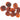 Dried Apricots (Unsulphered) - Nutty Delights