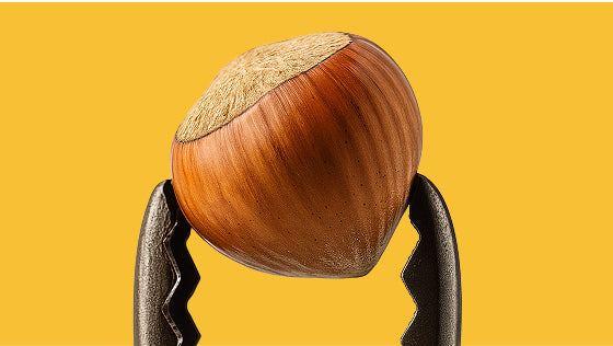 Raw Hazelnut Whole >