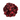 Dried Cranberries - Nutty Delights
