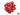 Dried Strawberry