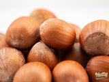 Raw Hazelnut in Shell - Nutty Delights