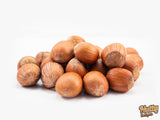 Raw Hazelnut in Shell - Nutty Delights