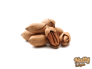Pecan in Shell - Nutty Delights