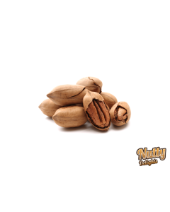 Pecan in Shell