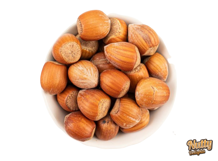 Raw Hazelnut in Shell
